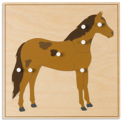 モンテッソーリ教具 - 馬のパズル